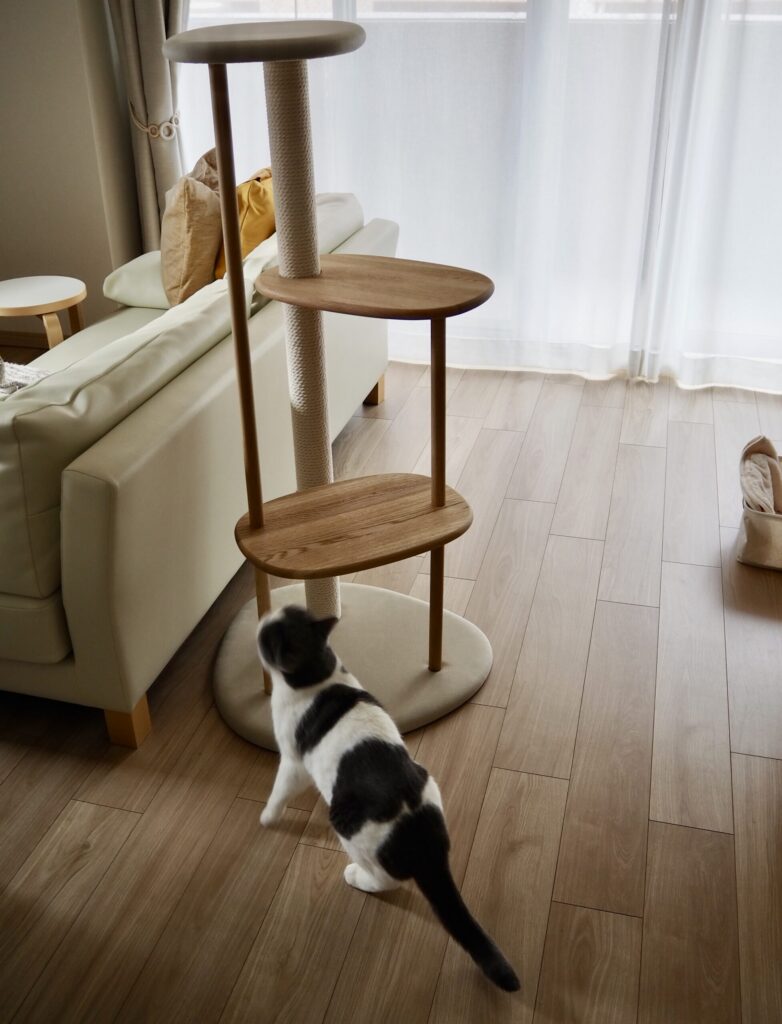 キャットタワー